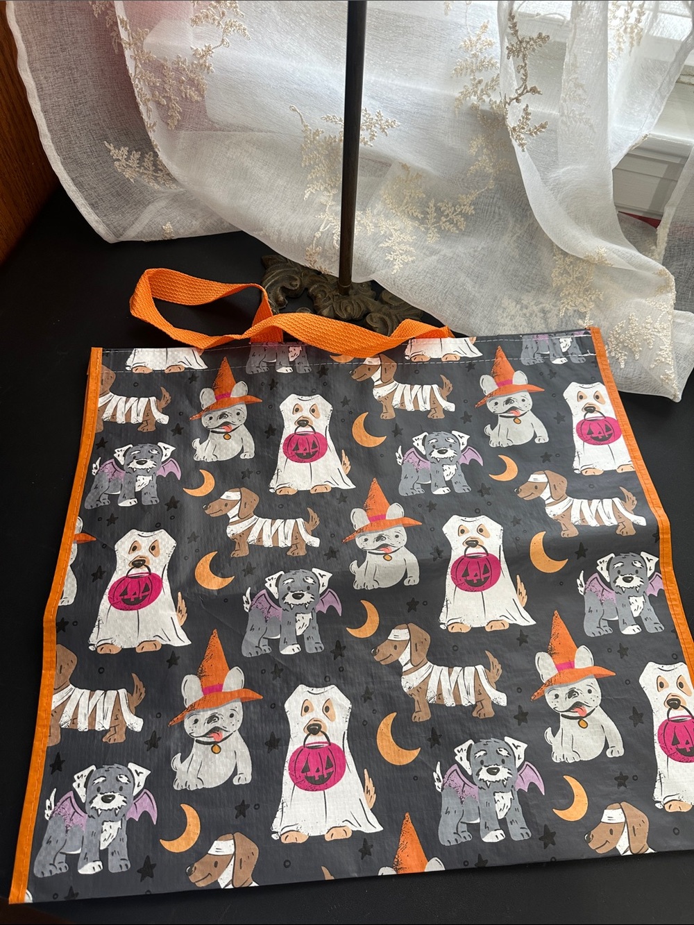 T.J. Maxx Halloween dog tote bag